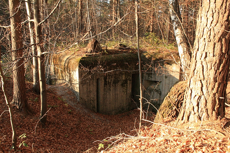 Rostoczek 11.2008 286
